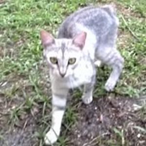 deborah_schneider avatar