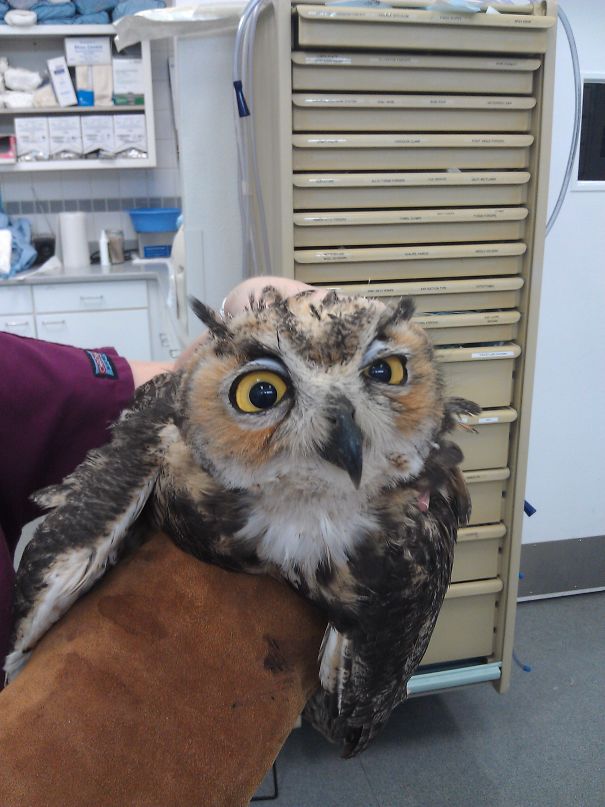 Speaking Of Waking Up From Anesthesia