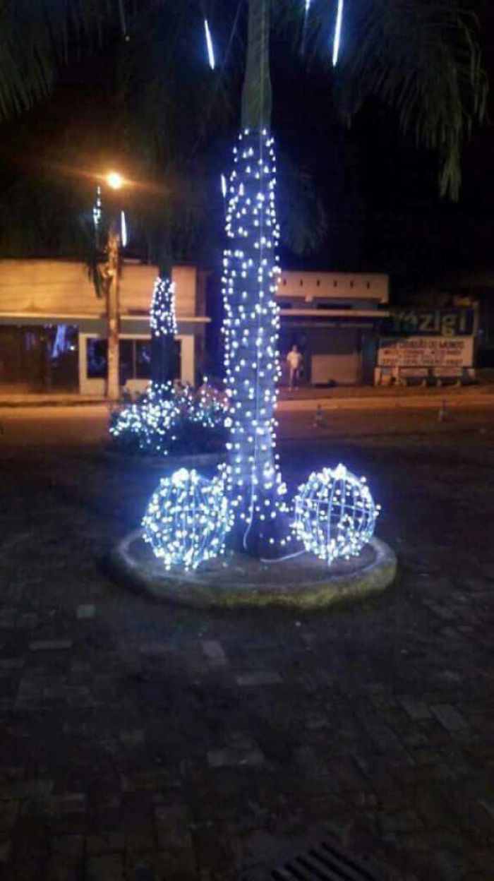 This Christmas Decorations