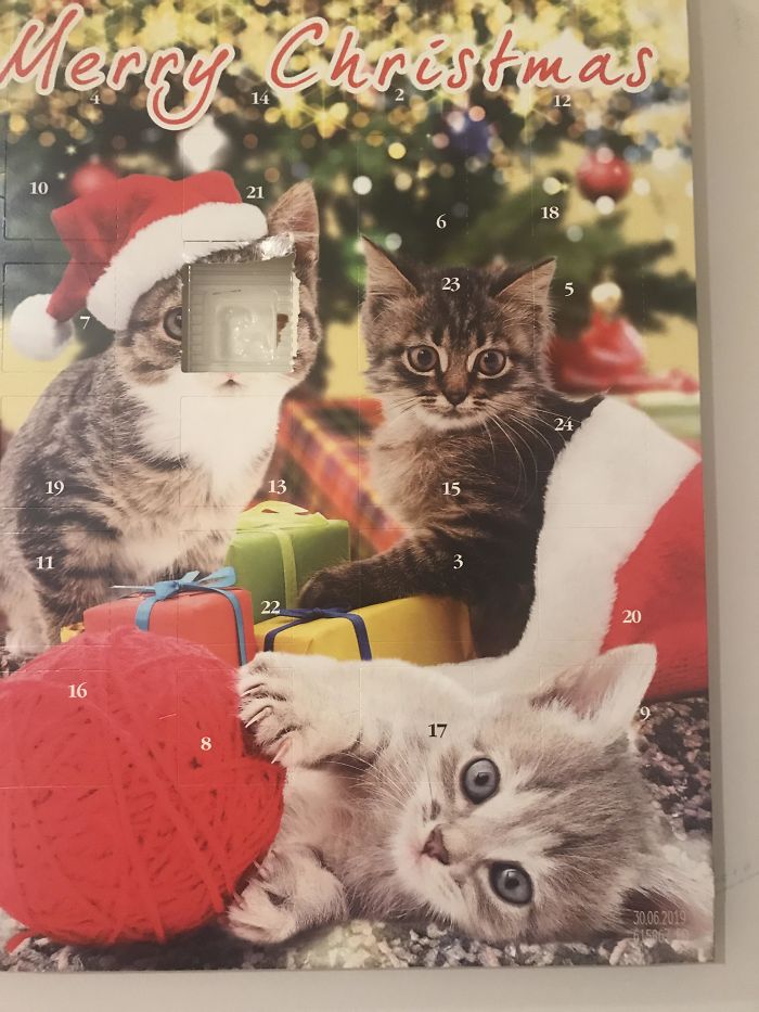 On The First Day Of Christmas...