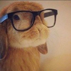 sarahwolcheski avatar