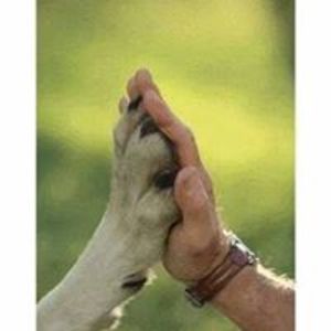 raindancer1027 avatar