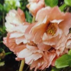 jennyharrison17 avatar