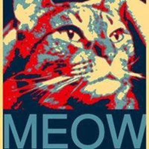 stephanie_barrington avatar