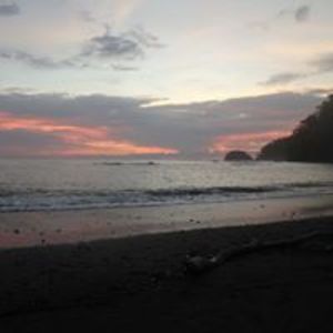 nchebertjr1957 avatar