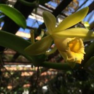 nancyellaread avatar