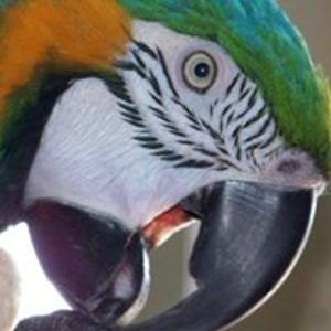 kathy_fultz_casper avatar