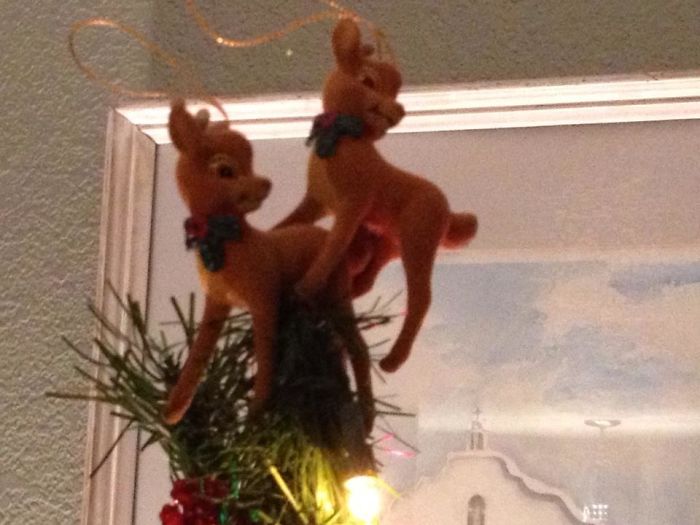 How My Family Tops Our Christmas Tree