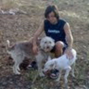 gaetanopirulli avatar