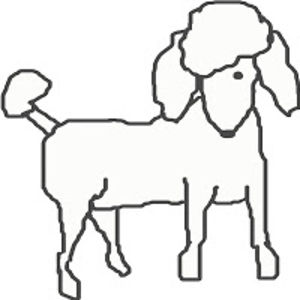 kirstenwaldron avatar