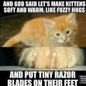 salvadorlaurienti avatar