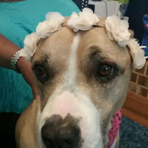 mereditholaughlin avatar