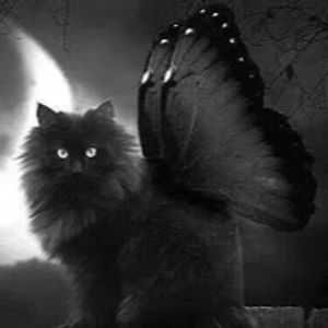 madisonzzstusmith avatar