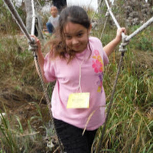 paytonsteffens avatar