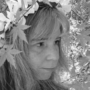 sailorcritter avatar