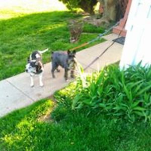 rommel_bls_24 avatar