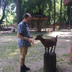 codrutsilvestru avatar