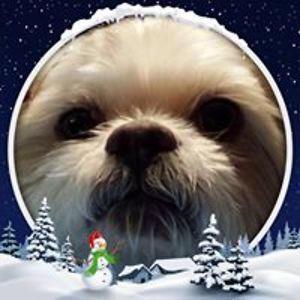 cheryl_kohls_smith avatar