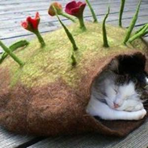 ramona_balutescu_1 avatar