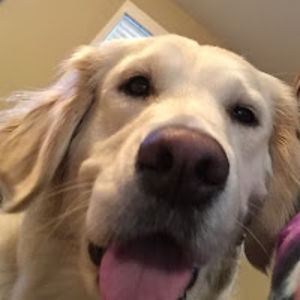 skylarmcmillan avatar