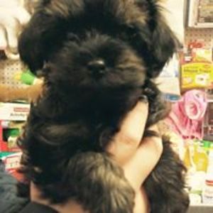 gillian_mccormack avatar