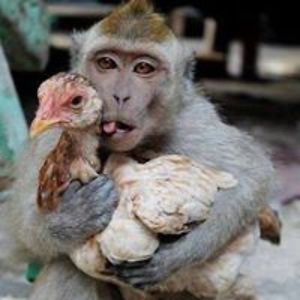 mike_melnotte avatar