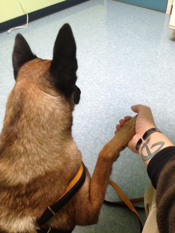 Someone Gets A Little Nervous At The Vet