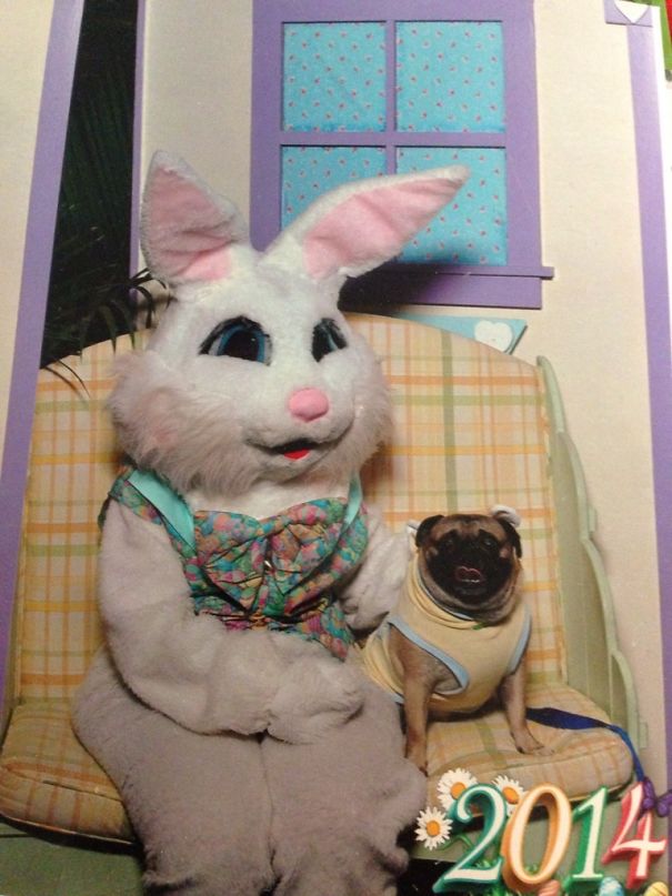 I Think My Grandma Misses Having Kids