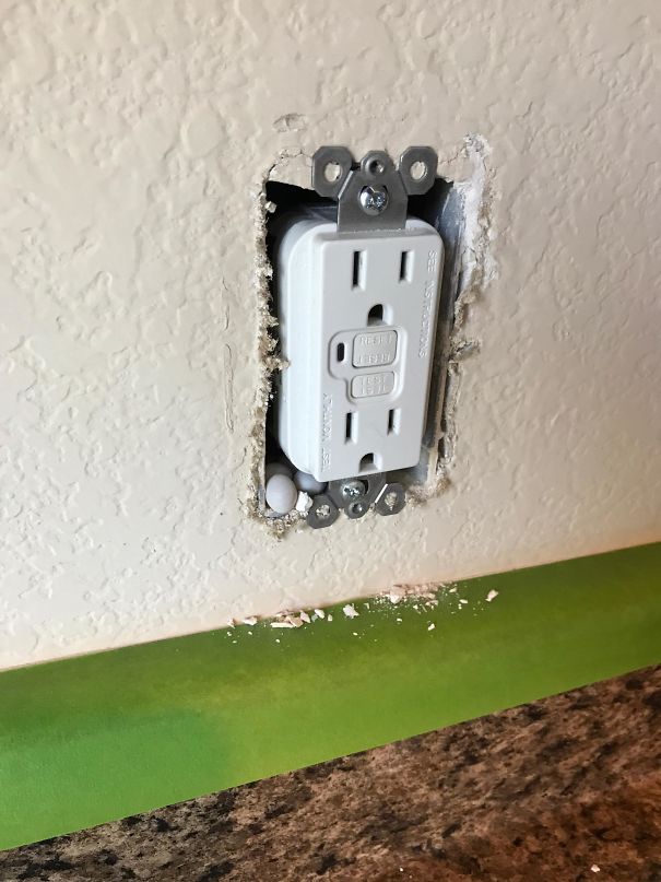 Lizard Laid Eggs In My Wall