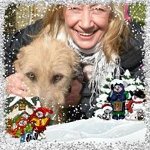 suestephens79 avatar