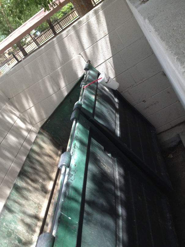 Went To Throw My Empty Cup Out And Didn't Hear It Hit The Ground. Looked Over To Make Sure It Went In And Saw This