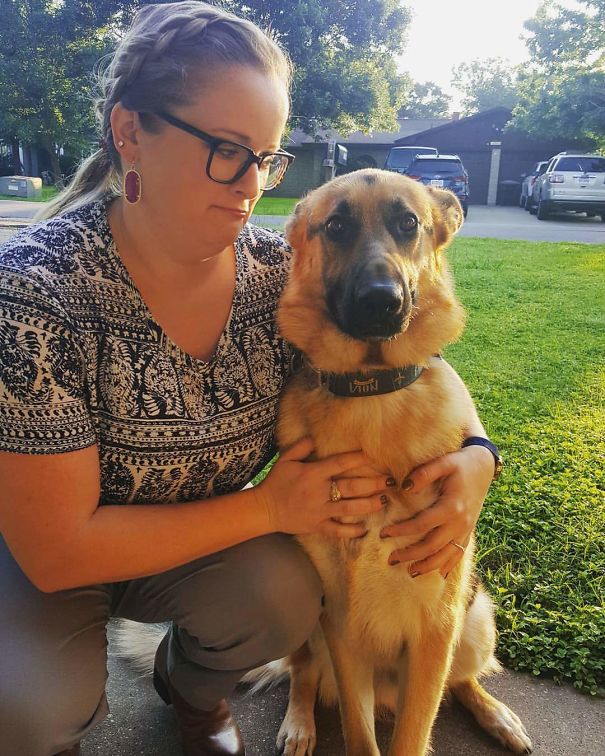 Friend's Dog Is Getting Neutered Today. He Knows