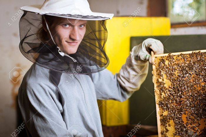 Young beekeeper holds a hive frame