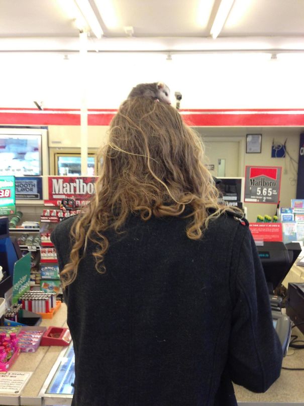 I Was Buying Coffee At The Gas Station This Morning When I Noticed This