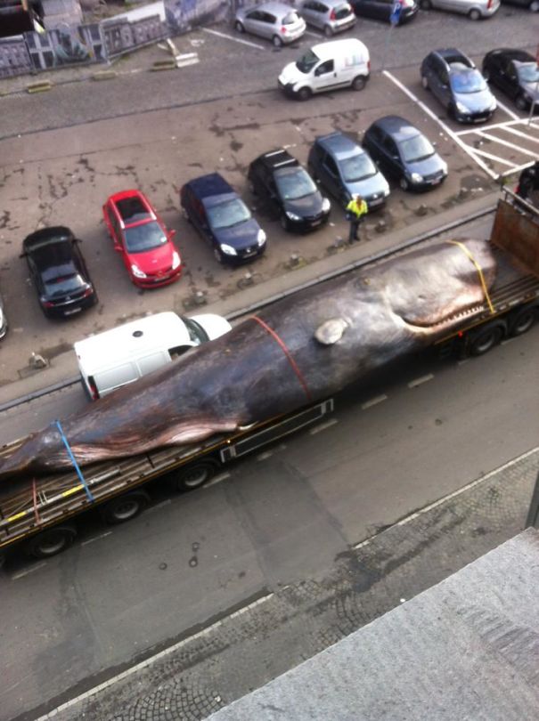 I Was Taking Fresh Air At The Window When Suddenly