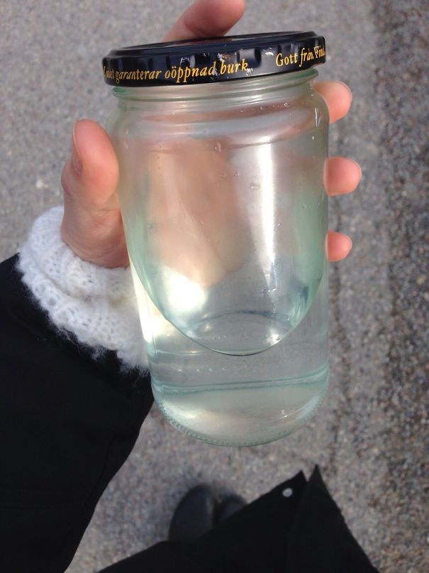 Asked My Grandmother For Some Water To Take With Me Out For The Day. She Gave Me This