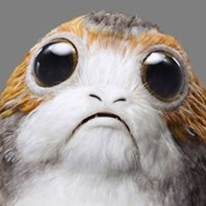 tom_unterwegs avatar