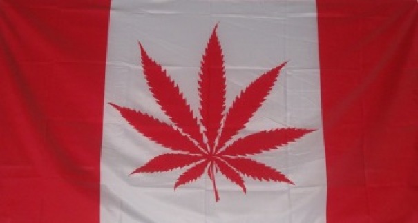 My Grandparents Took A Trip To Canada, And Brought Me Back The "Canadian Flag"