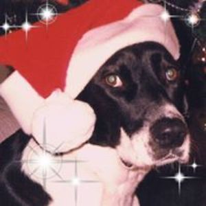 annettelapiana avatar