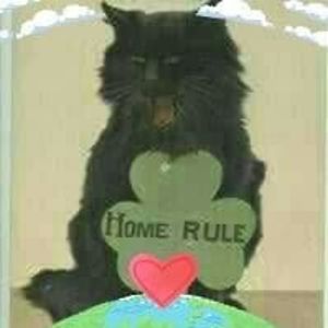 loobyloutoyou avatar