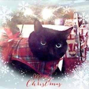 mlssrosler168 avatar