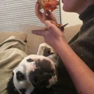 zhenda_glover avatar