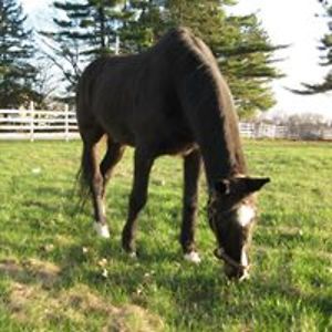 tanyavudlercasale avatar