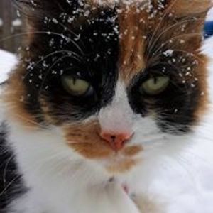 stephaniejorge2 avatar