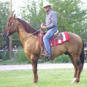 triple_l_ranch avatar