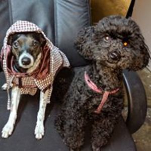 isitcomputing avatar