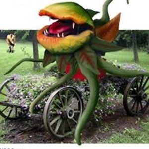 teresa_richardson avatar