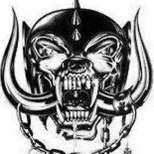 murradinwolfen avatar