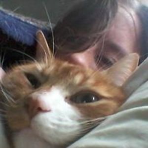 lauren_quiggle avatar