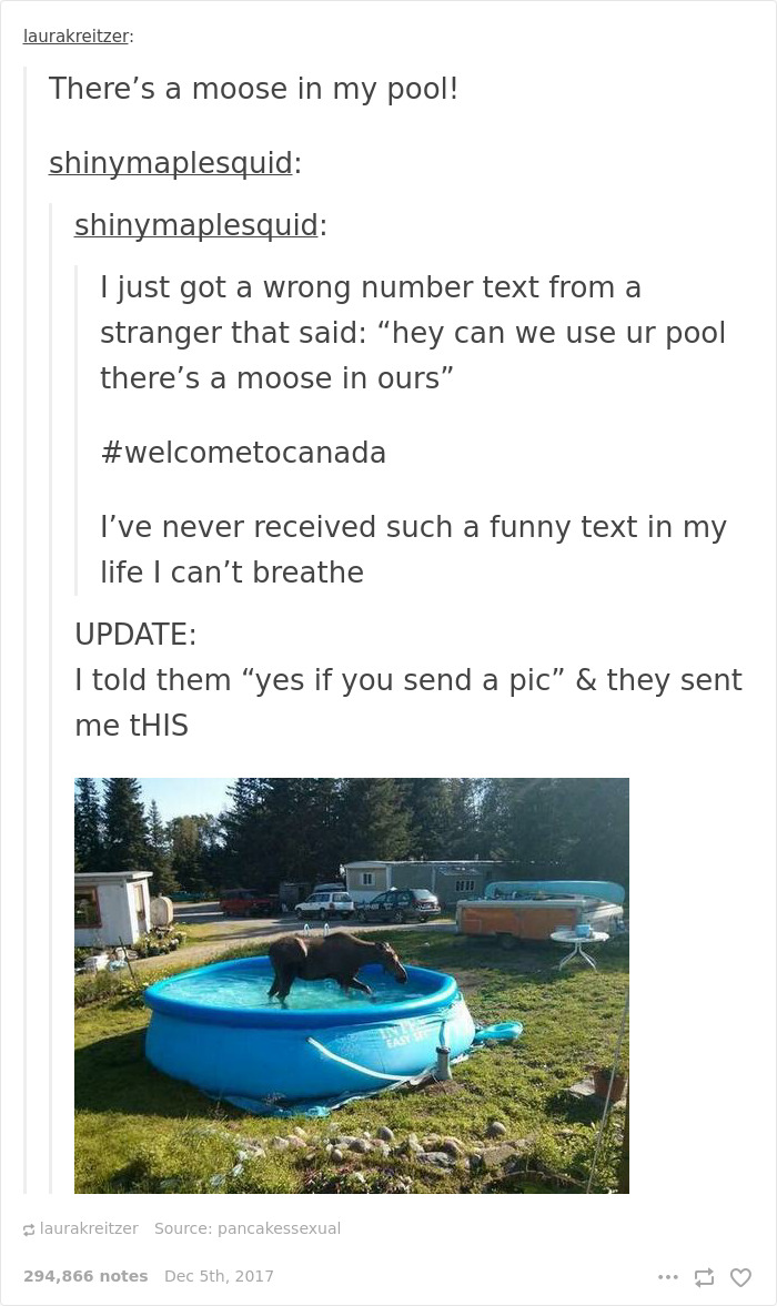 Funny-Canada-Jokes-Memes-Tumblr